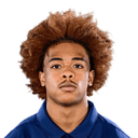 Marquese Williams Headshot