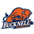 Bison Logo