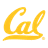 Golden Bears Logo