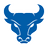 Bulls Logo