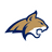 Bobcats Logo