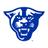 Panthers Logo