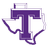 Texans Logo
