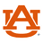 Tigers Logo