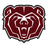 Bears Logo